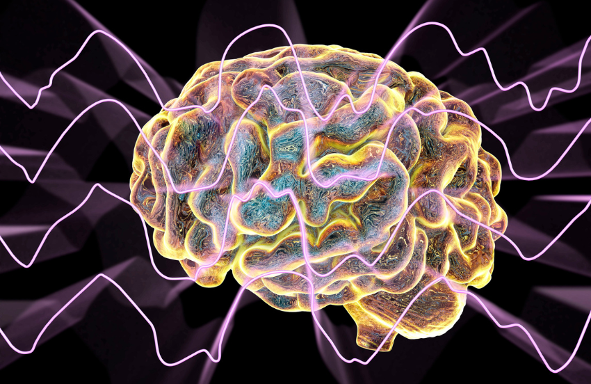 Picture of scientific brain